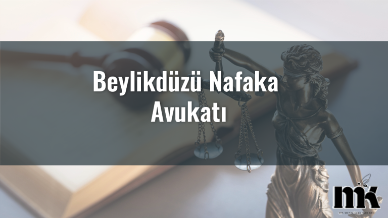 Beylikdüzü Nafaka Avukatı