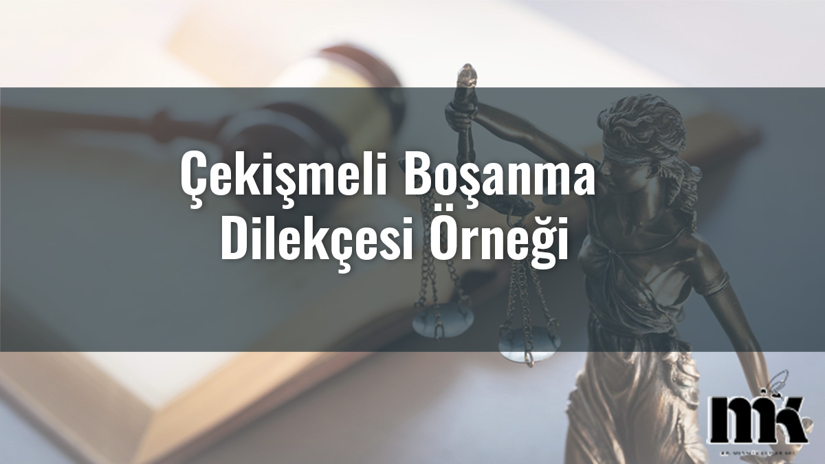 Çekişmeli Boşanma Dilekçesi Örneği